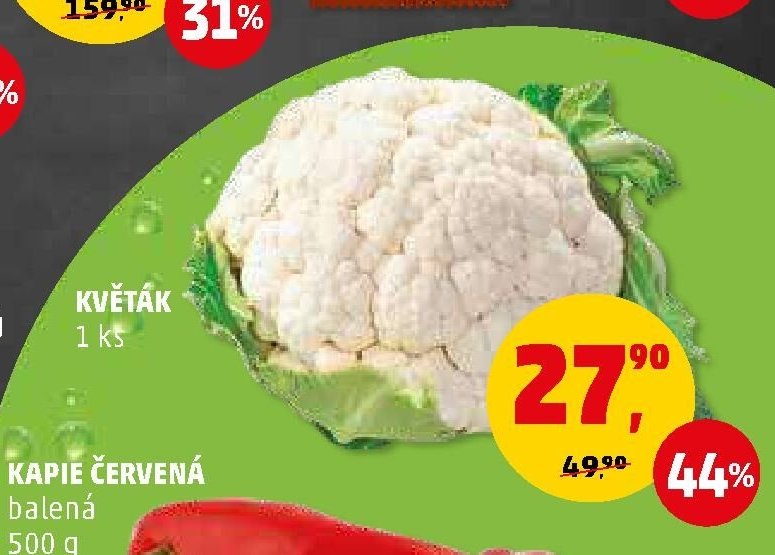 KVĚTÁK - Penny Market aktualniletaky.eu