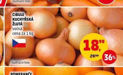 CIBULE KUCHYŇSKÁ ŽLUTÁ volná - Penny Market aktualniletaky.eu