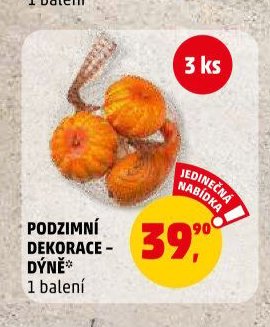PODZIMNÍ DEKORACE - DÝNĚ* - Penny Market aktualniletaky.eu