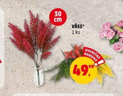 VŘES* - Penny Market aktualniletaky.eu