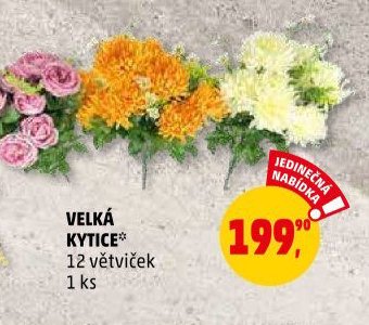 VELKÁ KYTICE* - Penny Market aktualniletaky.eu