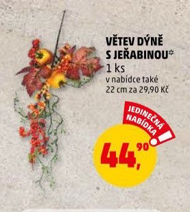 VĚTEV DÝNĚ S JEŘABINOU* - Penny Market aktualniletaky.eu