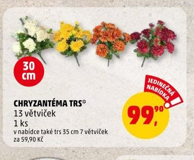 CHRYZANTÉMA TRS* - Penny Market aktualniletaky.eu