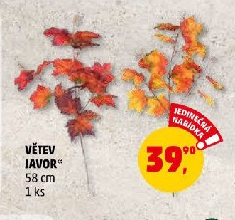 VĚTEV JAVOR* - Penny Market aktualniletaky.eu
