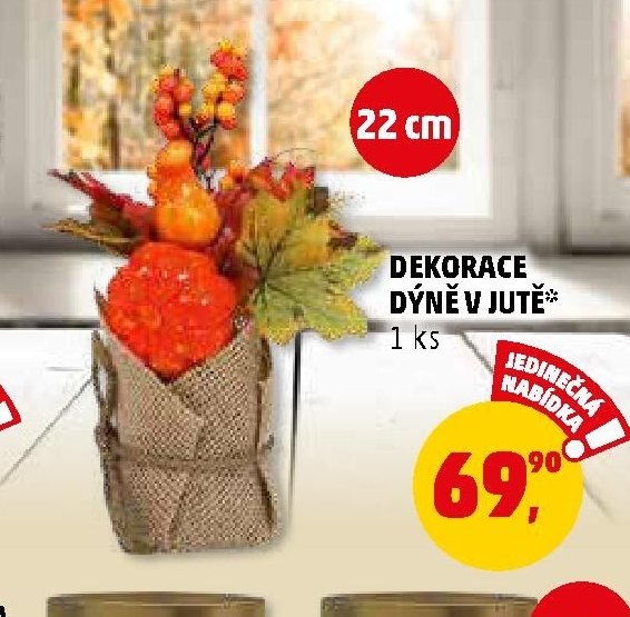 DEKORACE DÝNĚ V JUTĚ - Penny Market aktualniletaky.eu