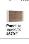 Panel .09