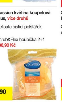 Calypso Passion květina koupelová houba, 1 kus