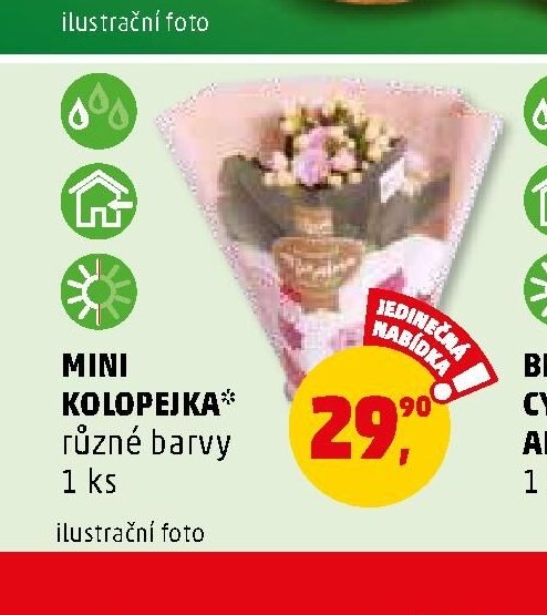 MINI KOLOPEJKA - Penny Market aktualniletaky.eu
