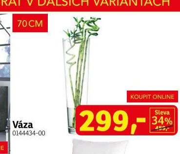 Váza