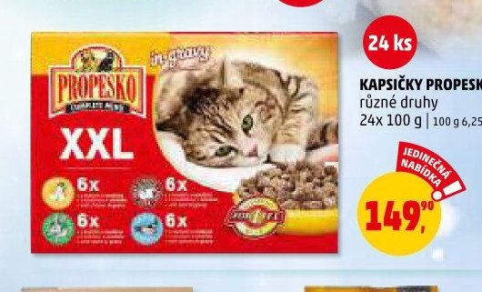 KAPSIČKY PROPESKO - Penny Market aktualniletaky.eu