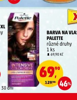 BARVA NA VLASY PALETTE - Penny Market aktualniletaky.eu