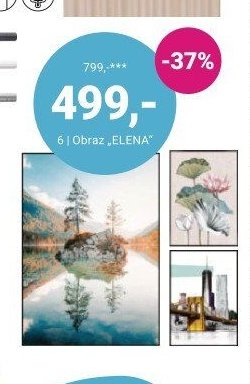 Obraz ELENA