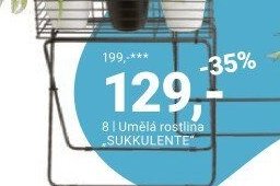 Umělá rostlina SUKKULENTE