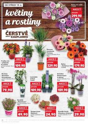 aktuální leták Kaufland 19.6.2024-25.6.2024