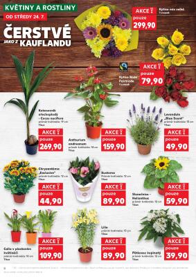 aktuální leták Kaufland 24.7.2024-30.7.2024