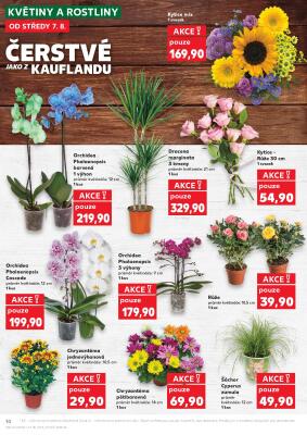 aktuální leták Kaufland 7.8.2024-13.8.2024