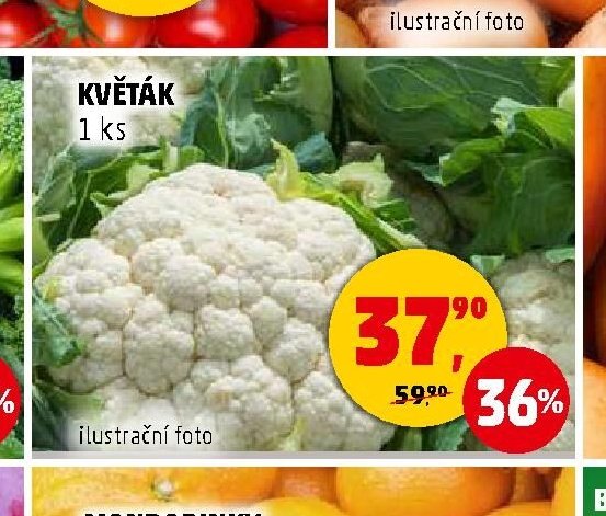 KVĚTÁK - Penny Market aktualniletaky.eu