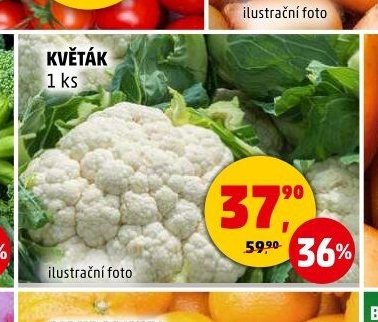 KVĚTÁK - Penny Market aktualniletaky.eu
