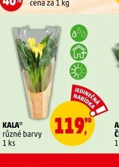 KALA - Penny Market aktualniletaky.eu
