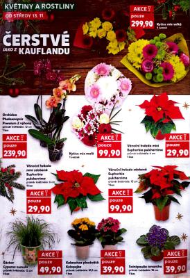 aktuální leták Kaufland 13.11.2024-19.11.2024