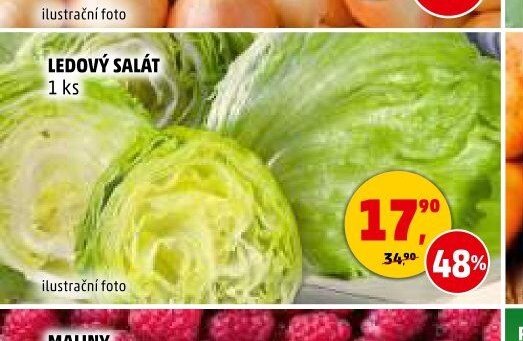 LEDOVÝ SALÁT - Penny Market aktualniletaky.eu