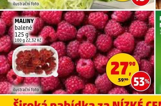 MALINY - Penny Market aktualniletaky.eu