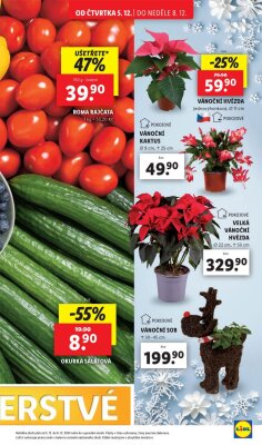 Lidl leták od čtvrtka strana 13