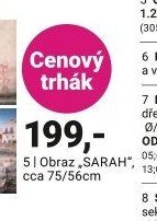 Obraz SARAH - Möbelix aktualniletaky.eu