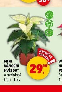 MINI VÁNOČNÍ HVĚZDA - Penny Market aktualniletaky.eu