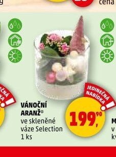 VÁNOČNÍ ARANŽ - Penny Market aktualniletaky.eu