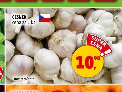 Česnek - Penny Market aktualniletaky.eu