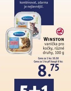 WINSTON vanička pro kočky, různé druhy, 100 g