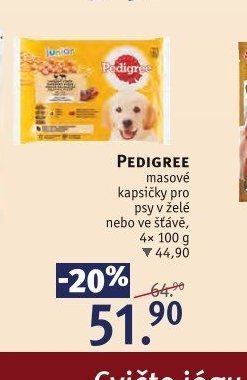 PEDIGREE masové kapsičky pro psy v želé nebo ve šťávě, 4x 100 g