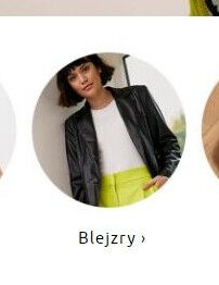 Blejzry