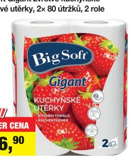Big Soft Gigant 2vrstvé kuchyňské papírové utěrky, 2x 80 útržků, 2 role