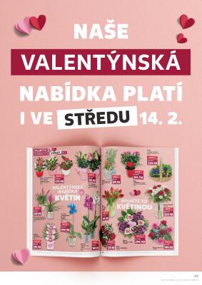 Kaufland leták - Nejlepší ceny s Kauflandcard strana 49