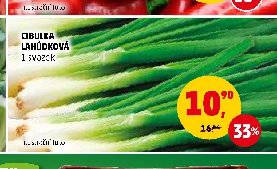 CIBULKA LAHŮDKOVÁ 1 svazek - Penny Market aktualniletaky.eu
