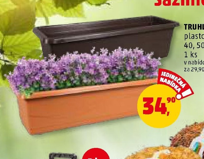 TRUHLÍK LOBELIA - Penny Market aktualniletaky.eu