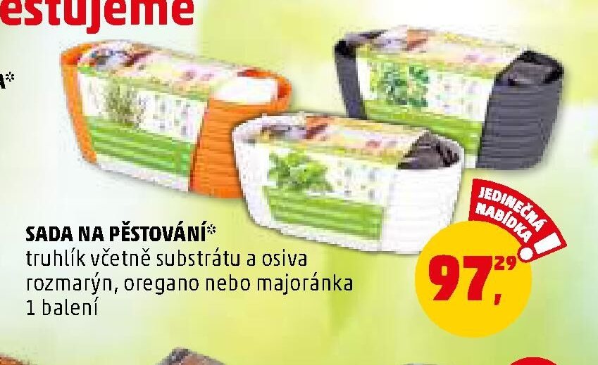 SADA NA PĚSTOVÁNÍ - Penny Market aktualniletaky.eu