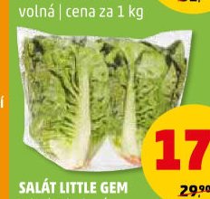 SALÁT LITTLE GEM - Penny Market aktualniletaky.eu