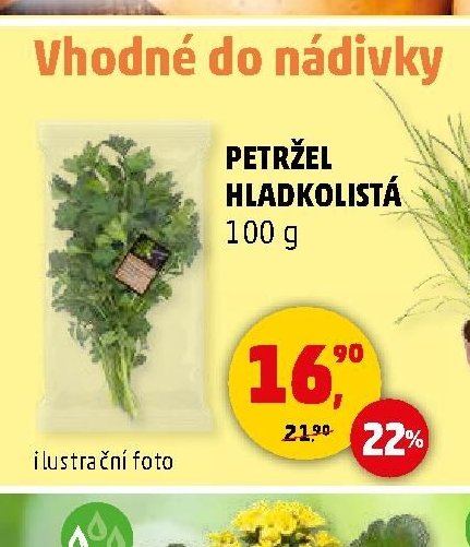 PETRŽEL HLADKOLISTÁ 100 g - Penny Market aktualniletaky.eu