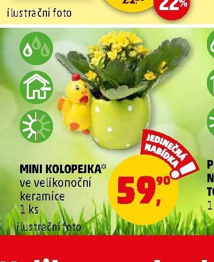 MINI KOLOPEJKA v velikonoční keramice 1 ks - Penny Market aktualniletaky.eu