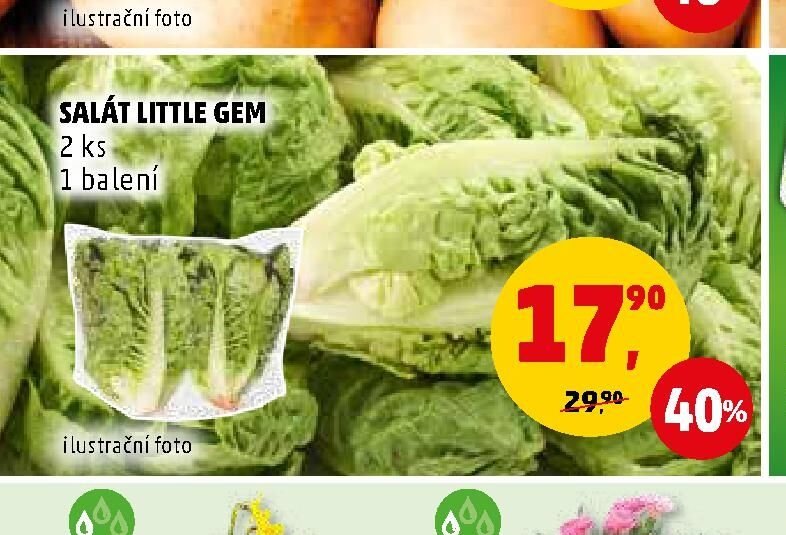 Salát Little Gem - Penny Market aktualniletaky.eu