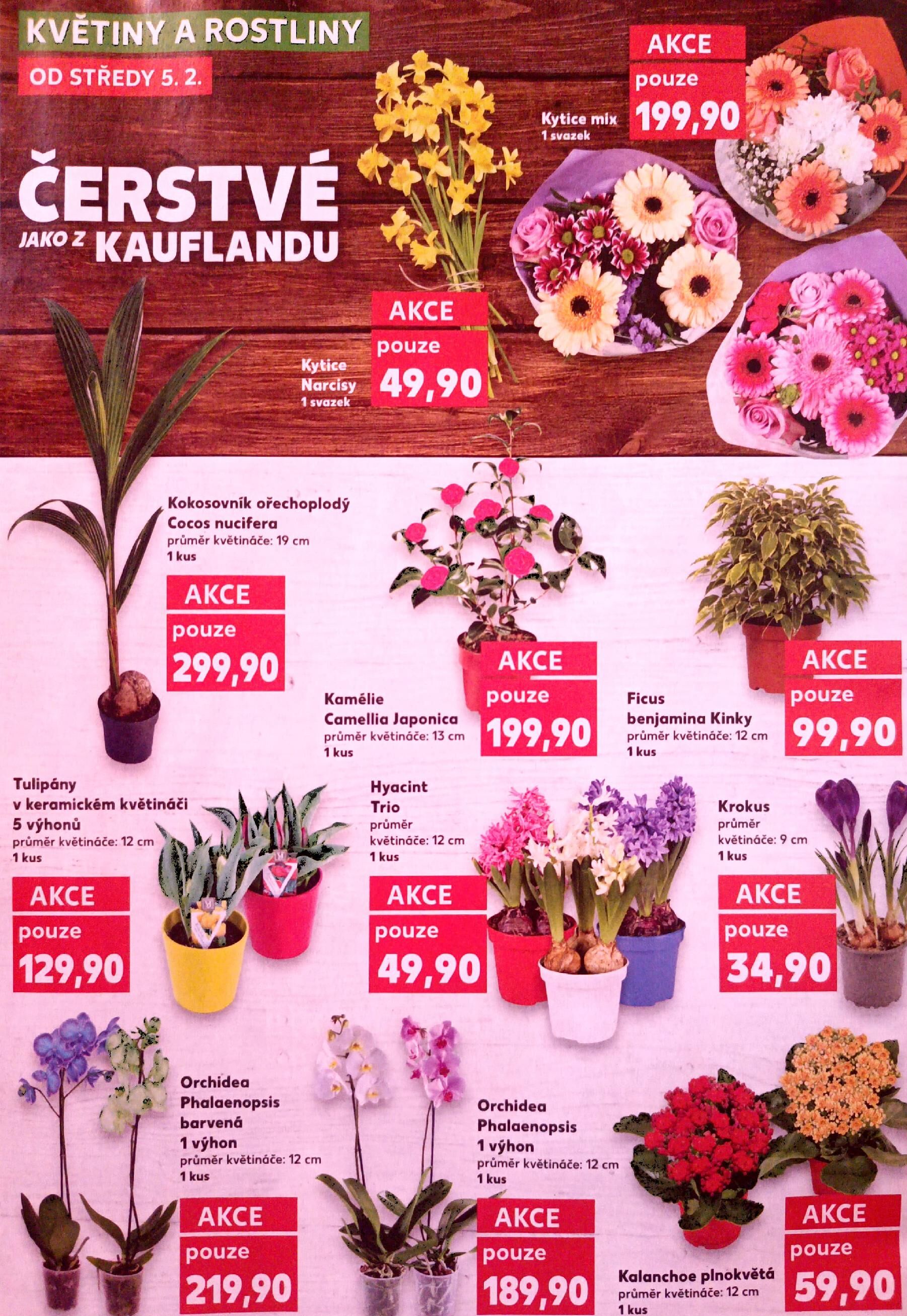 Oblíbená česká klasika za super ceny Kaufland strana 8