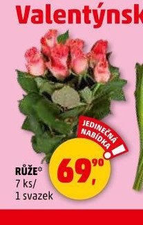 RŮŽE 7 ks - Penny Market aktualniletaky.eu