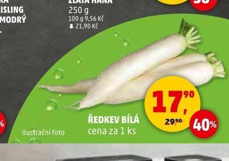 Ředkev bílá - Penny Market aktualniletaky.eu
