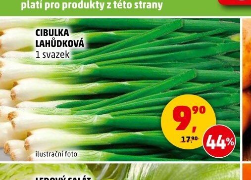 Cibulka lahůdková - Penny Market aktualniletaky.eu