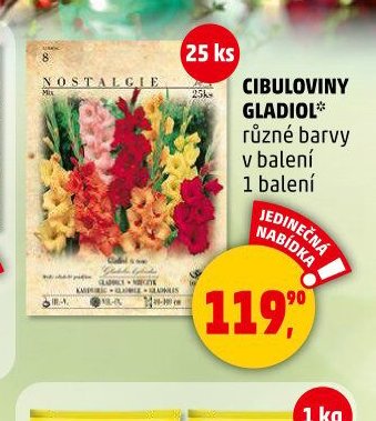 CIBULOVINY GLADIOL - Penny Market aktualniletaky.eu