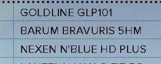 Barum Bravuris 5HM