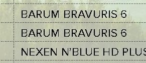 Barum Bravuris 5